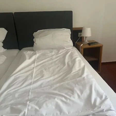 Zum Taunus מלון *